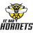 Logo EC Bad Hornets Feldkirch